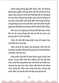 product-img-6