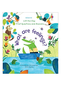 Sách Usborne Lift-The-Flap First Questions And Answers What Are Feelings? - Link Mua