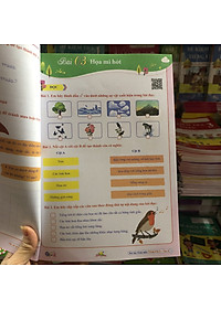 product-img-4