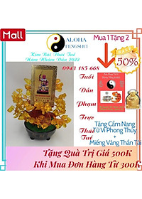 product-img-5