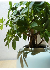 product-img-4