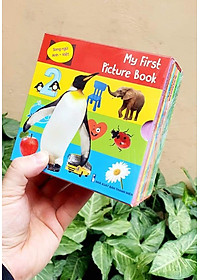 Từ điển hình ảnh đầu tiên cho bé khám phá thế giới (10 cuốn) - My first picture book 
