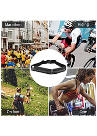 Đai, túi đeo eo thể thao nam nữ Rhino B201 đựng vừa điện thoại 6.5 Inch và đa dạng các loại vật dụng, hàng chất lượng tiện dụng khi đi chơi, dã ngoại, hoạt động ngoài trời yoga, leo núi, chạy, đi bộ, đạp xe, tập gym, cầu lông