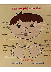 product-img-12
