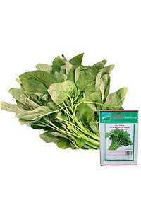 Hạt Giống Dền Xanh Lá Tròn Phú Nông