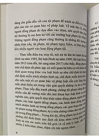 Đồng phạm trong luật hình sự Việt Nam