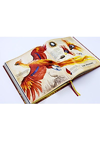 product-img-3