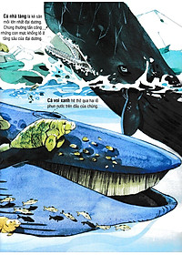 Sách Tương Tác - Big Book - Cuốn Sách Khổng Lồ Về Các Loài Động Vật Biển (Tái Bản 2018)