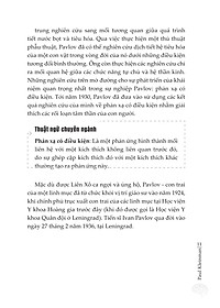 product-img-13