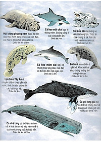 Sách Tương Tác - Big Book - Cuốn Sách Khổng Lồ Về Các Loài Động Vật Biển (Tái Bản 2018)