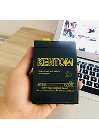 Bình ắc quy cho đèn sạc, xe đồ chơi trẻ em 6V 4.5AH