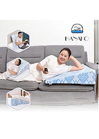 GỐI CHỐNG TRÀO NGƯỢC DẠ DÀY NGƯỜI LỚN , GIẢM HẲN HO, NGỨA HỌNG, SẠCH PHỔI, CHỐNG PHÙ MẶT