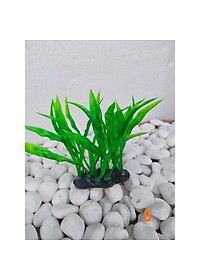 product-img-5