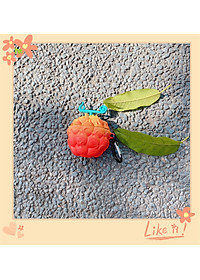 product-img-6