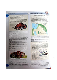 Sách Lịch Sử Thế Giới Theo Dòng Sự Kiện - Từ Thời Đồ Đá Tới Thời Hiện Đại