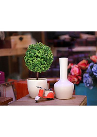 product-img-5