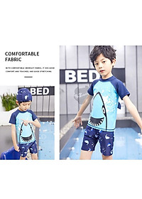 product-img-5
