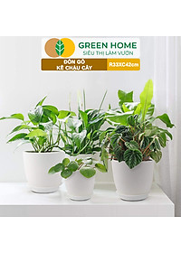 Đĩa Nhựa Lót Chậu Cây Greenhome, Nhiều Kích Cỡ, Hứng Nước Giúp Sạch Bàn, Sàn, Nhựa Nguyên Sinh, Bền, Đẹp, Chóng Rơi Vỡ
