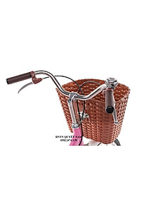 Xe đạp mini Thống Nhất Autumn LD 24-01 - Hàng chính hãng