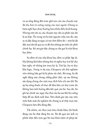 product-img-13
