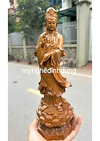 product-img-1