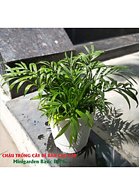 product-img-5