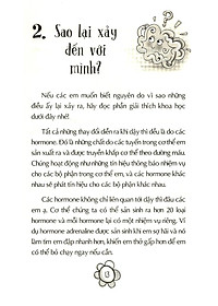 product-img-4