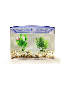Bể Cá Beta Mini - Hồ Cá Mini Để Bàn Bằng Nhựa Cao Cấp 2 Ngăn 