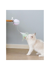 product-img-2