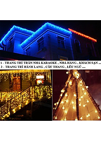 Đèn Led Trang Trí Bông Tuyết Dài 10M - 100 Bóng Trang Trí Noel Lễ Tết