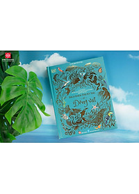 product-img-2