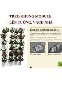 product-img-12