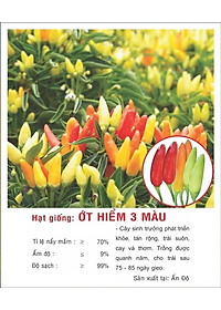 Hạt giống Ớt hiểm ba màu VTP149