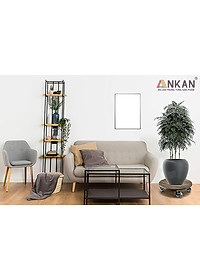 Đế Lót Chậu Cây Có Bánh Xe Cao Cấp ANKAN Hình Tròn Màu Xám Đen R30Cm Tải trọng 150 Kg Gỗ Tràm Bông