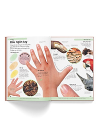 product-img-4
