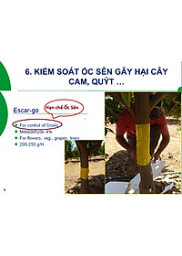 product-img-11