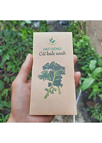 Hạt giống Cải Kale xanh, Cải Xoăn (20 hạt/bịch)
