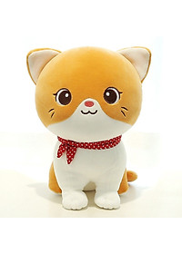 product-img-6