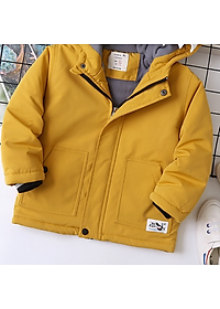 product-img-6