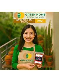 Đá Nham Thạch Lava GreenHome, Bao 500GR, Giá Thể Cho Thủy Sinh, Bonsai, Xương Rồng Màu Đỏ, Đen, Sạch Bụi