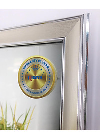 Gương phòng tắm màu trắng bạc Kibath KT 45x60 cm