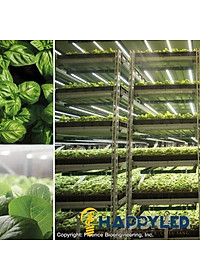 Đèn LED Trồng Cây, Đèn LED Trồng Rau Trong Nhà