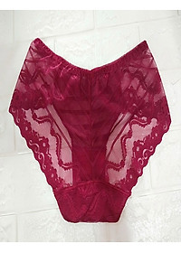 Combo 10 Quần Lót Nữ Ren cao cấp hàng việt nam 632