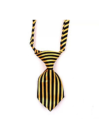 product-img-15