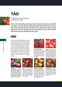product-img-23