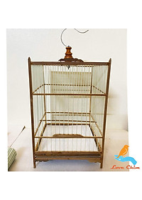 product-img-6