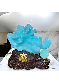product-img-5