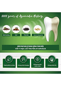 Kem Đánh Răng Thảo Dược Sudanta Sri Sri Tattva - Không Chứa Flouride, 100% Thuần Chay, Chắc Răng, Thơm Miệng, Ngừa Các Bệnh Từ Răng Miệng, Nướu Bằng Y Hoc Cổ Truyền Ayuveda