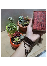 product-img-9