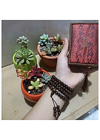 product-img-7